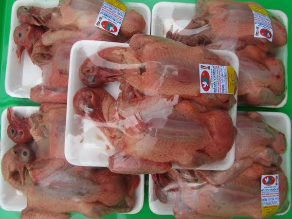 Thịt chim bồ câu được đóng gói, giao tận nơi nếu khách hàng có nhu cầu