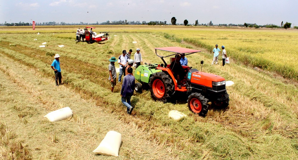 Hội thảo tr&igrave;nh diễn m&aacute;y cơ giới hoạt động trong v&ugrave;ng dự &aacute;n x&atilde; Vọng Th&ecirc;, huyện Thoại Sơn, tỉnh An Giang
