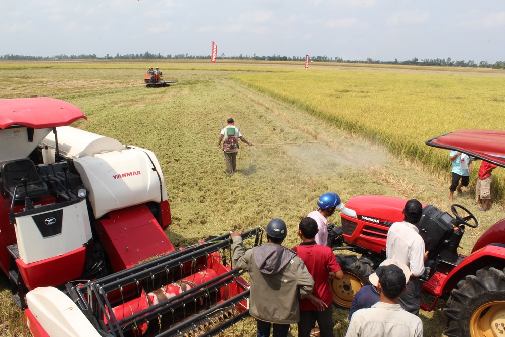 Tr&igrave;nh diễn m&aacute;y cuộn rơm