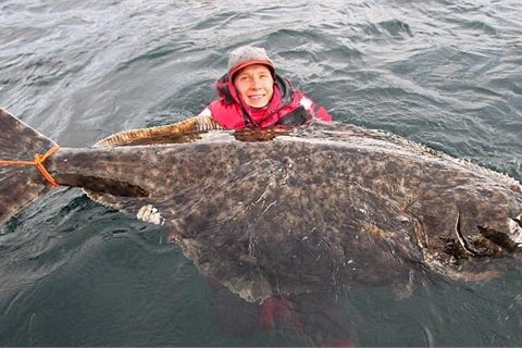 Erik Axner và con cá bơn khổng lồ nặng 100kg