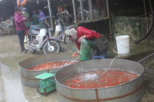 cửa hàng cá tại chợ Đồng Xuân (Hà Nội) 