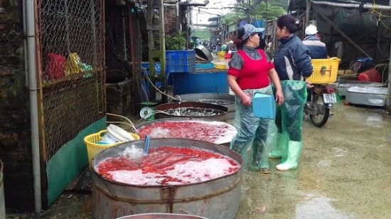 Chợ cá chép đỏ Sở Thượng lớn nhất Hà Nội