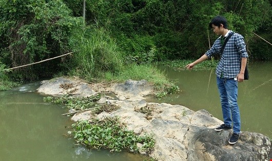 Suối Tân Trung nơi có cá chết hàng loạt vì bị đầu độc