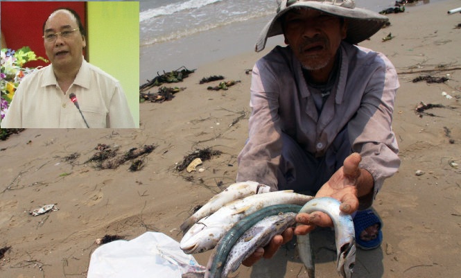 Thủ tướng Nguyễn Xuân Phúc chỉ đạo không được bao che cho bất cứ ai trong vục cá chết hàng loạt