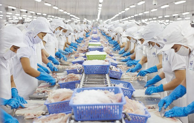 Nhờ đạt năng suất chất lượng cao nên sản phẩm thủy, hải sản của Cà Mau được xuất khẩu đến nhiều nước trên thế giới