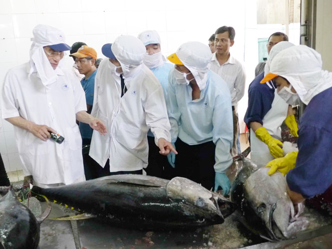 Cá ngừ đại dương Việt Nam được đánh giá cao ở Nhật