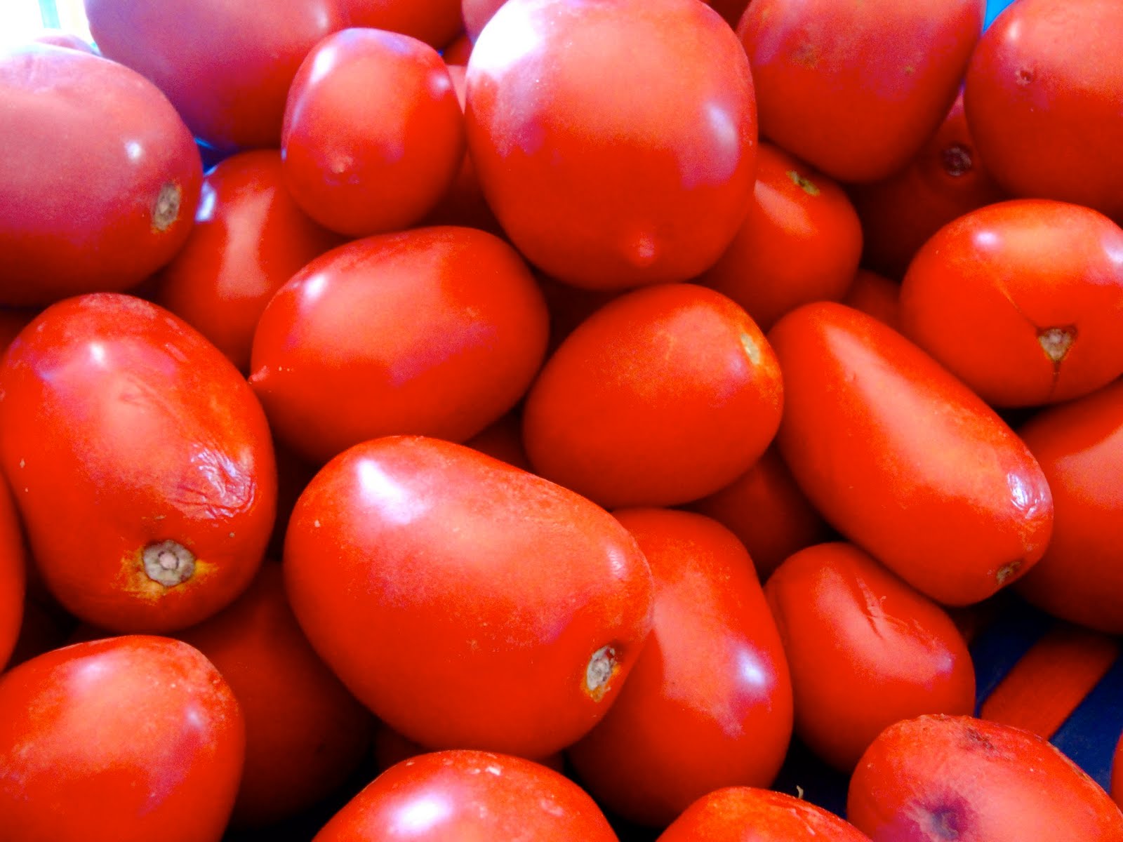 Sai lầm trong ăn uống khi ăn quá nhiều cà chua