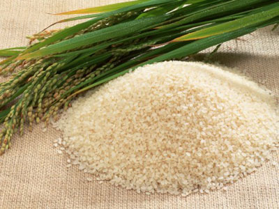  Gạo ngon và mới thường có hạt đều, căng bóng nhưng không quá trắng