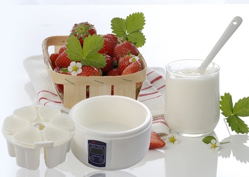 Sử dụng máy làm sữa chua đang là lựa chọn của nhiều gia đình trong mùa hè này