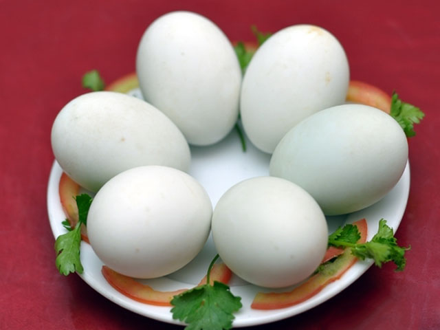 Cách chọn trứng vịt lộn luôn tươi và non với các mẹo đơn giản