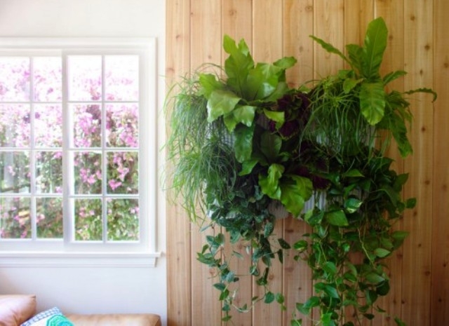 Cây xanh giúp thân thiện với môi trường lại thoáng mát cho nhà