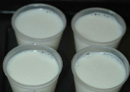Múc sữa vào hũ ủ và bảo quản thành phẩm trong tủ lạnh