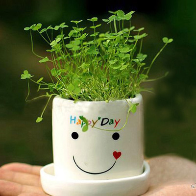 N&oacute; gi&uacute;p t&ocirc; điểm cho b&agrave;n l&agrave;m việc th&ecirc;m xinh