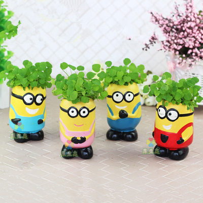 C&aacute;ch trồng cỏ ba l&aacute; kh&ocirc;ng qu&aacute; kh&oacute;