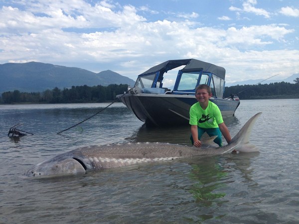 Trước khi chinh phục con cá tầm trắng khổng lồ này, cậu bé Kegan cũng từng khiến mọi người thán phục vì câu được cá khủng 55kg