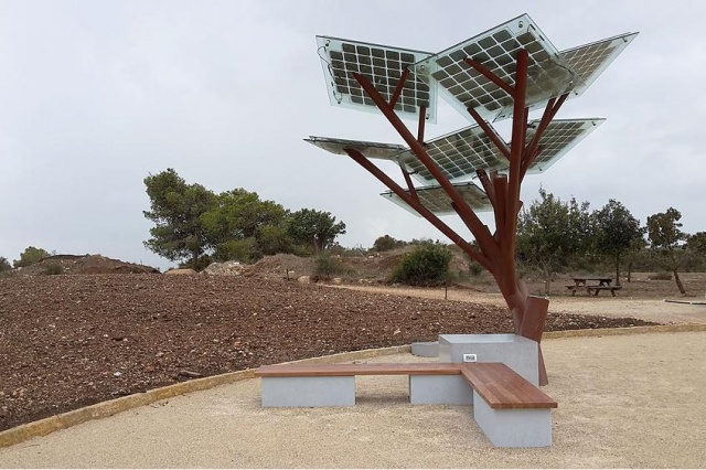 cây pin năng lượng mặt trời kiêm điểm phát wifi được trồng ở israel