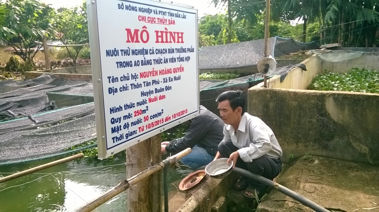 Ông Nguyễn Hoàng Quyền (áo trắng) cho cá ăn