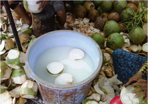 Chất tẩy trắng được sử dụng trong dừa cũng là hóa chất gây ảnh hưởng đến sức khỏe