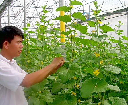 Gần 23 tỷ đồng phát triển hạ tầng khu nông nghiệp ứng dụng công nghệ cao ở Phú Yên