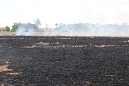 Vụ cháy lớn khiến một diện tích đất ruộng rộng lớn bị thiêu rụi