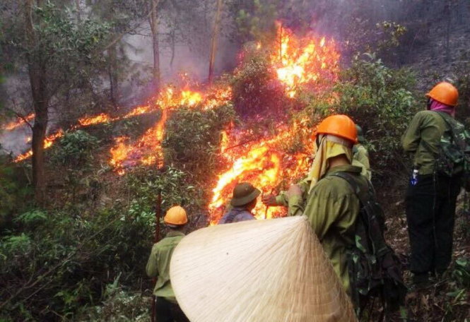 Trước đó ở Nghệ An cũng xảy ra vụ cháy lớn khiến hàng chục hec-ta rừng bị thiêu rụi