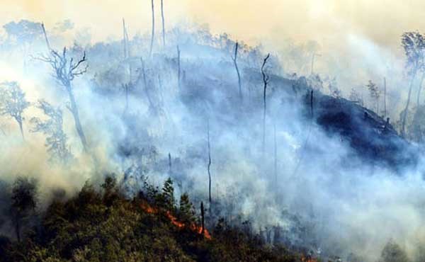 Vụ cháy rừng Hoàng Liên (Sa Pa) đầu năm 2014