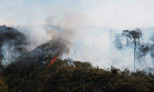 Nguy cơ xảy ra cháy rừng dịp Tết ở Lào Cai đang ở mức cao