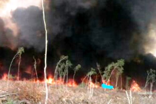 Vụ cháy rừng tràm Cà Mau có diện tích cháy lên tới 12 ha