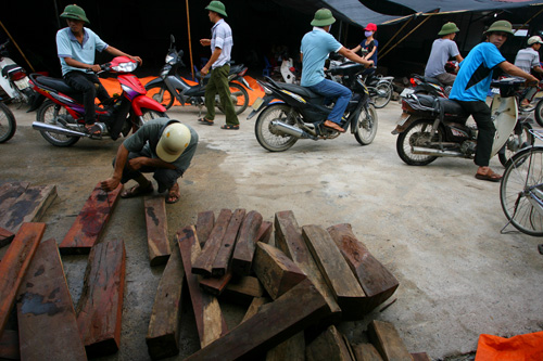Chợ gỗ Phù Khê có quy mô gần 300 gian hàng chuyên bán các mặt hàng gỗ tự nhiên