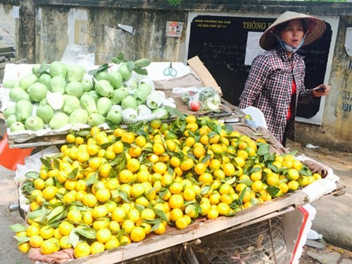 Độc hại là thế những cứ đến dịp gần Tết là hoa quả Trung Quốc lại tràn ngập thị trường