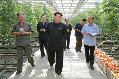 Vườn rau của gia đình chủ tịch Triều Tiên Kim Jong Un