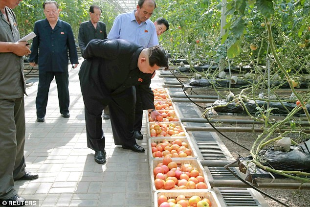 Chủ tịch Triều Tiên Kim Jong Un kiểm tra sản phẩm trong vườn rau sạch đặc biệt