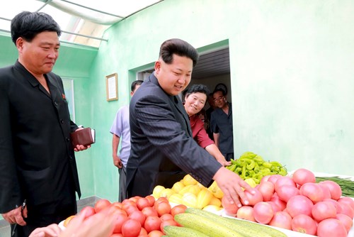 Sản phẩm thu hoạch phải được kiểm tra cẩn thận trước khi được chế biến phục vụ người đứng đầu nhà nước Triều Tiên