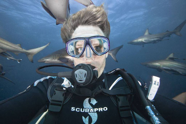 Nhiếp ảnh gia chụp ảnh tự sướng giữa một đàn cá mập