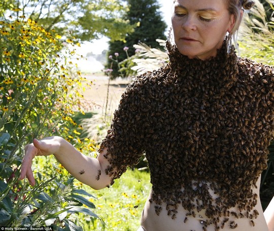 Cô gái lấy ong làm áo là chuyện lạ có thật