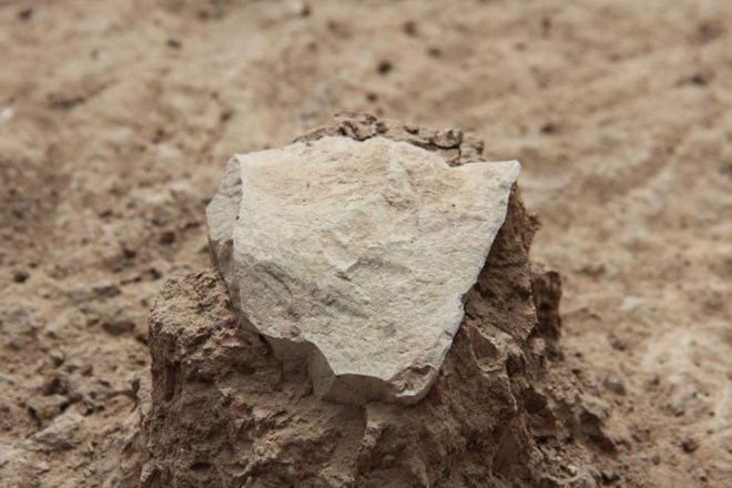 Phát hiện công cụ bằng đá đầu tiên của loài người cách đây 3,3 triệu năm