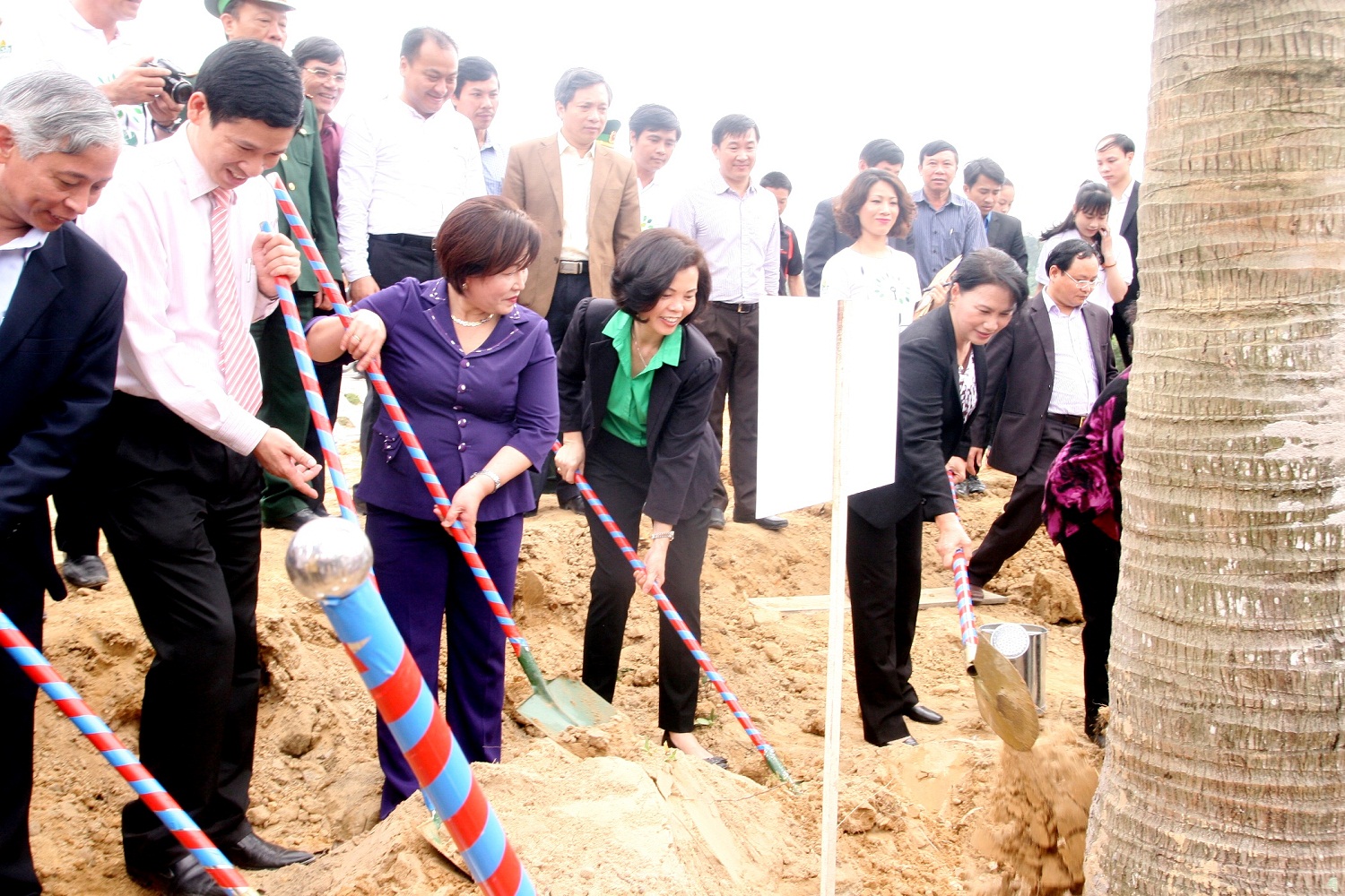 Quỹ 1 triệu cây xanh cho Việt Nam của Vinamilk trồng cây tại khu mộ của Cố Đại tướng Võ Nguyên Giáp