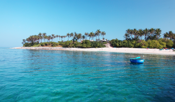 Ngắm san hô ở đảo Bé- Lý Sơn bằng thuyền thúng xinh đẹp