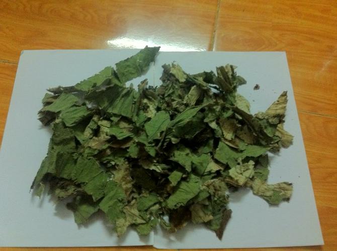 C&ocirc;ng dụng chữa bệnh tuyệt vời của l&aacute; sen bạn đ&atilde; biết