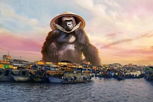 'Chết cười' với loạt ảnh chế 'Kong du hí khắp Việt Nam'