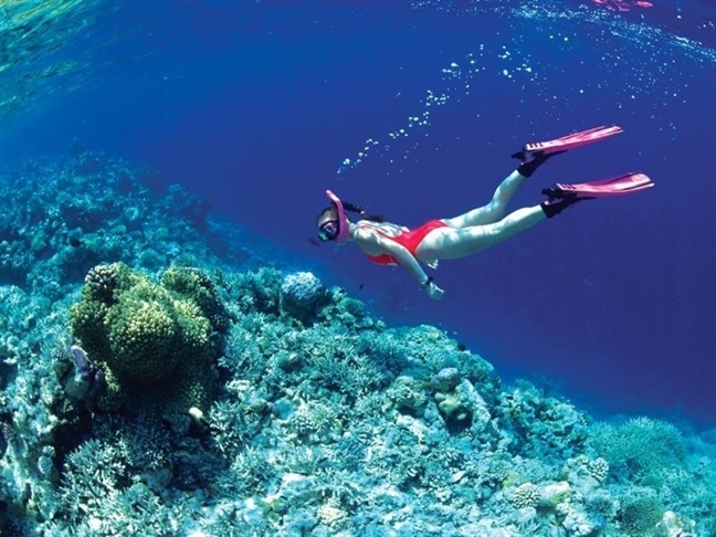 6 địa điểm lặn biển ngắm san hô đẹp nhất Việt Nam