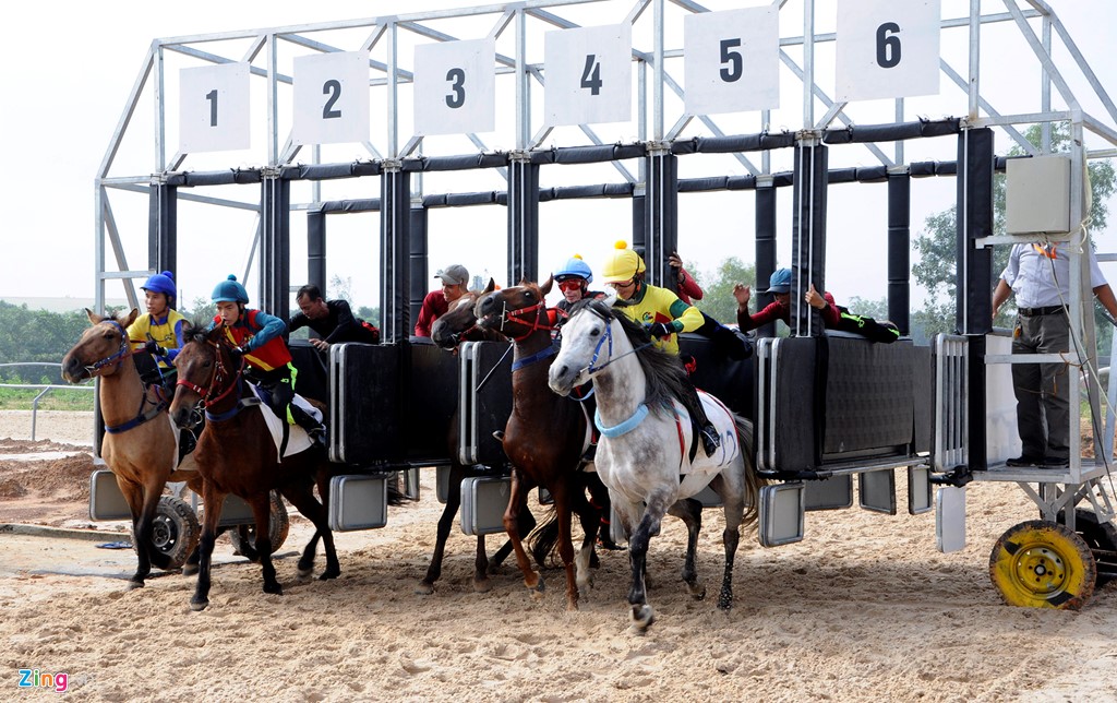 can-canh-truong-dua-ngua-2-nghin-ty-cua-dai-gia-binh-duong