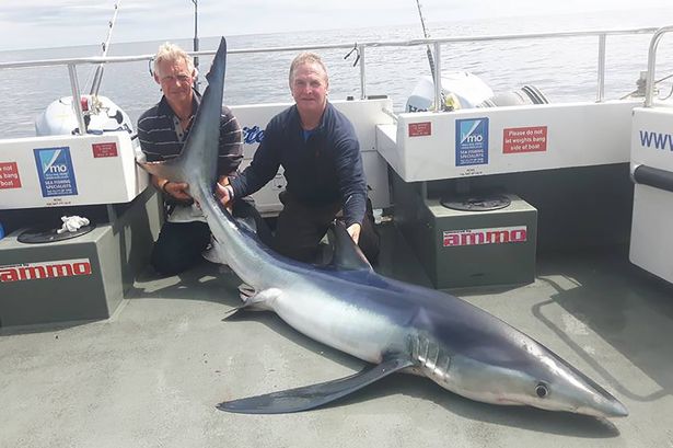Ông Danny và bạn bên con cá mập nặng 110kg. Ảnh: Mirror