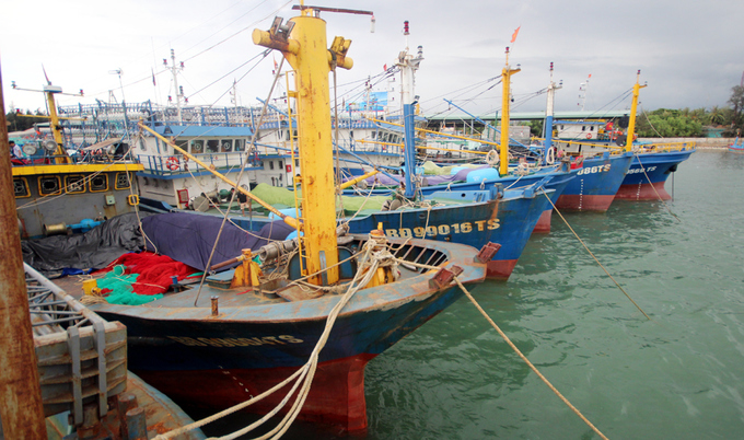  Nhiều tàu cá vỏ thép của ngư dân Bình Định vừa đưa vào khai thác đã gỉ sét. Ảnh: VnExpress