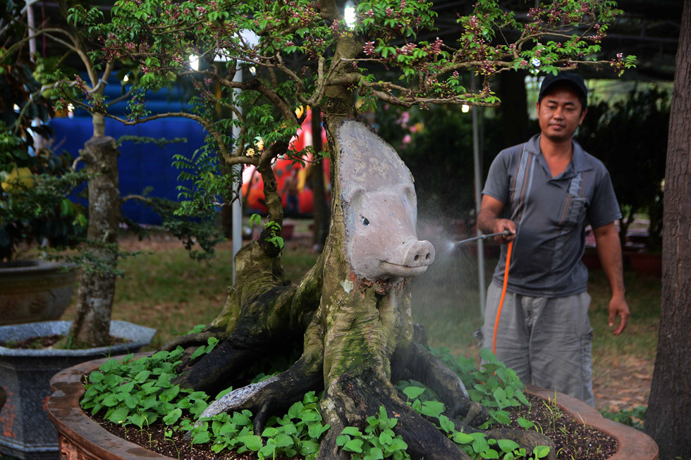 doc-la-cay-khe-kieng-dau-heo-gia-nua-ty-dong-o-cho-hoa-tphcm