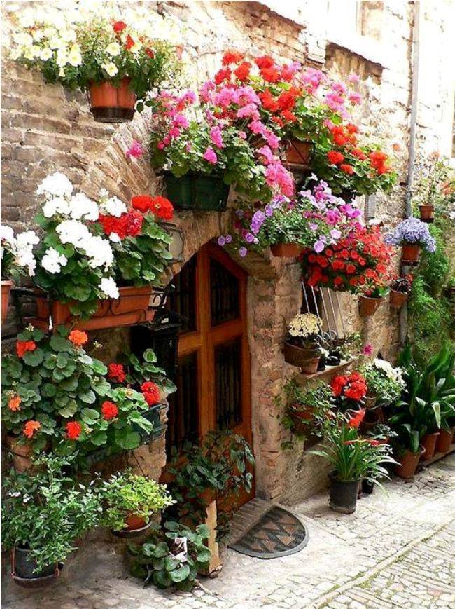 Ngỡ ngàng trước thị trấn ngập sắc hoa đẹp như tranh vẽ ở Italia