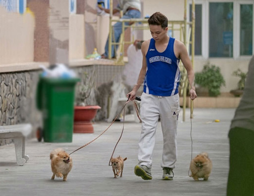 Cao Thái Sơn dắt 3 chú cún cưng đi dạo
