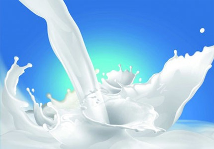 Sữa tươi chưa tiệt trùng chứa nhiều vi khuẩn gây hại sức khỏe người sử dụng