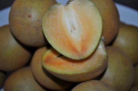 Hồng xiêm là loại trái cây thơm ngon có tác dụng trong việc chữa sỏi thận