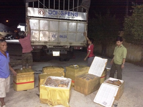Phát hiện 600kg thịt thối tại tỉnh Bình Định. Ảnh DT